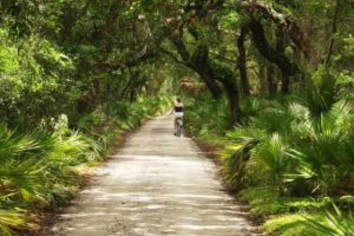 Cumberland Island: Sounds and Pictures