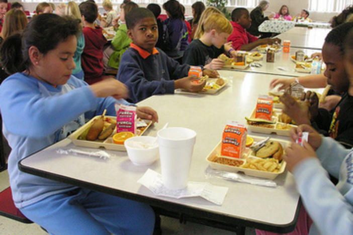 Georgia joins lawsuit against USDA school lunch funding changes