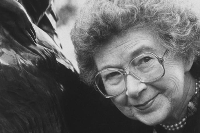 Beverly Cleary was the author behind many beloved characters, including Henry Huggins, Ellen Tebbits, Otis Spofford, and Beezus and Ramona Quimby (as well as Ribsy, Socks and Ralph S. Mouse).