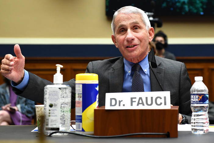 Dr. Anthony Fauci, director of the National Institute of Allergy and Infectious Diseases, testifies Tuesday during a House Energy and Commerce Committee hearing on the Trump administration's response to the COVID-19 pandemic.