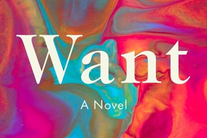 <a href="https://us.macmillan.com/books/9781250247537">Want</a>, by Lynn Steger Strong
