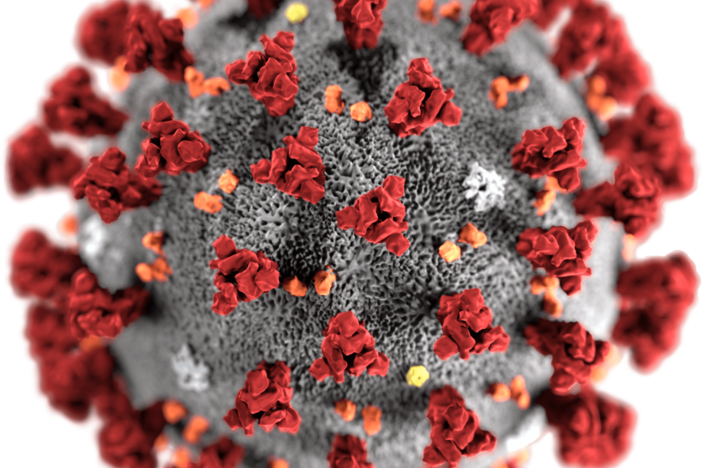 A novel coronavirus is spreading across the United States.