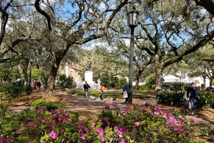 Savannah is famous for the Oglethorpe Plan, which incorporates distinctive squares like this one in a grid of streets. A new assessment finds that plan is at risk.