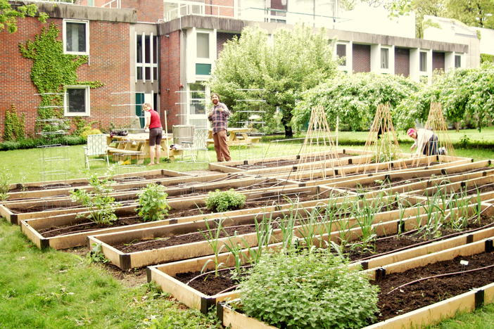 Across Georgia, local communities are building community gardens and agrihoods to address food insecurity and loss of green space.