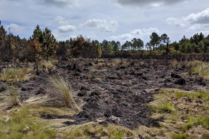 The Whitney Fire has burned more than 400 acres since it was started by a lightning strike on June 29.