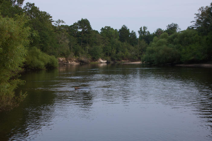 The Ogeechee River