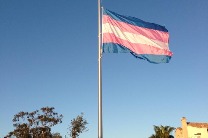 The Transgender Pride Flag was created by American trans woman Monica Helms in 1999.