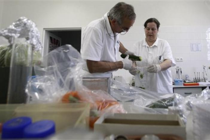 Scientists test E. coli in 2011. An outbreak in the South has sickened nearly 100 people in five states.