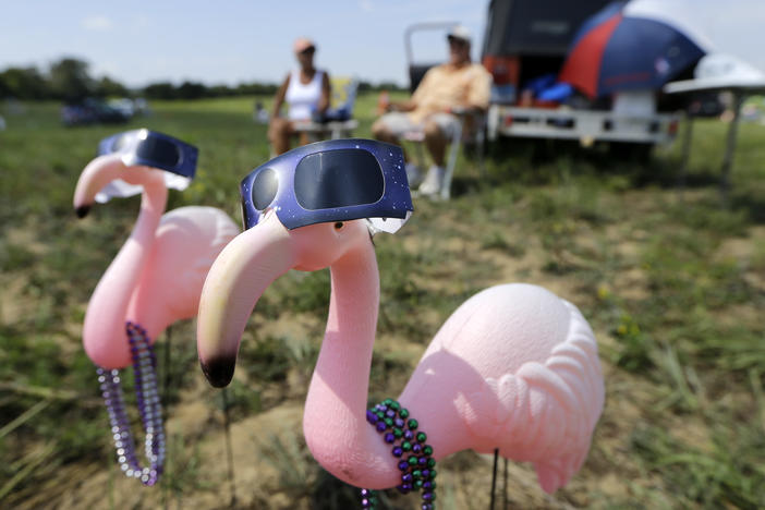 Plastic pink flamingos wear solar eclipse viewing glasses near Hopkinsville, KY.