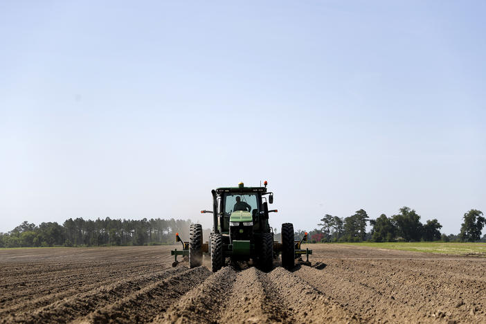 Parrish Akins plants cotton seeds on his farm in Nashville, Ga., Thursday, June 21, 2018. 