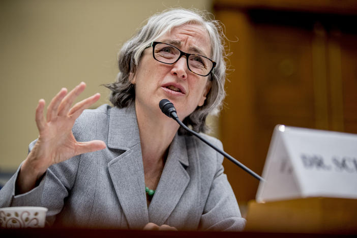 CDC Principal Deputy Secretary Dr. Anne Schuchat speaks before a House Oversight subcommittee hearing on lung disease and e-cigarettes on Capitol Hill in Washington, Tuesday, Sept. 24, 2019. 