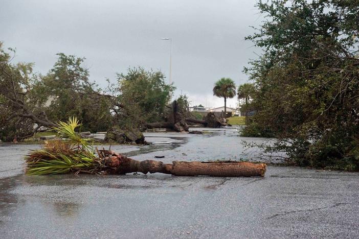 Downed trees on Naval Submarine Base Kings Bay