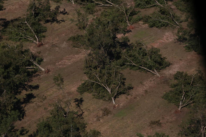 One year after Hurricane Irma hurt Georgia pecan orchards, Hurricane Michael downed thousands of generations-old pecan trees.