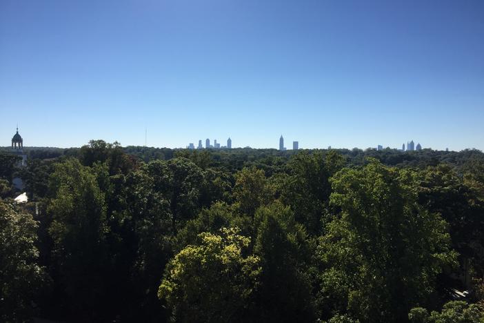 "City in a forest" is one of Atlanta's lesser known nicknames, but with more tree canopy than most U.S. cities, it is a fitting one. 