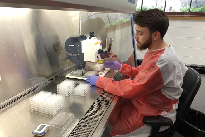 A graduate student at UGA works in a lab testing influenza vaccines.