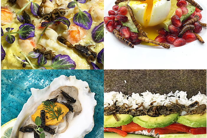 An array of edible insect options from the Eating Insects Athens Conference.