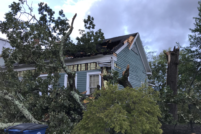 Trees damaged homes in Macon as Hurricane Michael blew through. 