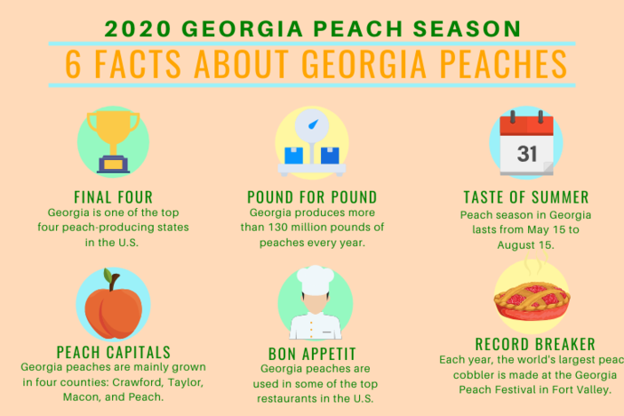 Peach growers are expecting a big harvest for the 2020 season. 