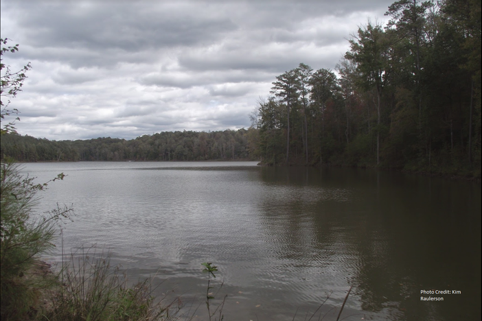 Dog River located in Douglas County
