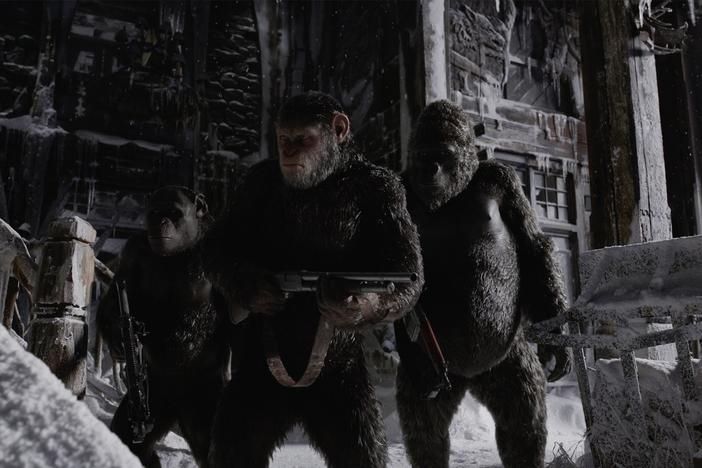 Caesar and his fellow apes prepare to cross a moral Rubicon in War for the Planet of the Apes.