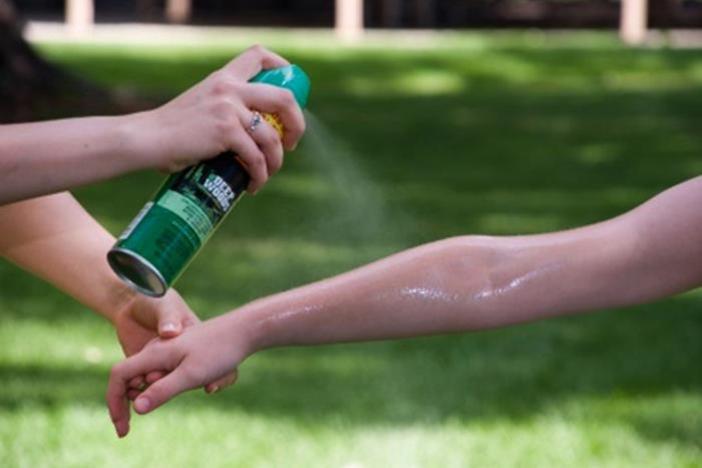 Experts recommend wearing bug spray to ward off mosquitoes, which can carry illnesses such as West Nile Virus