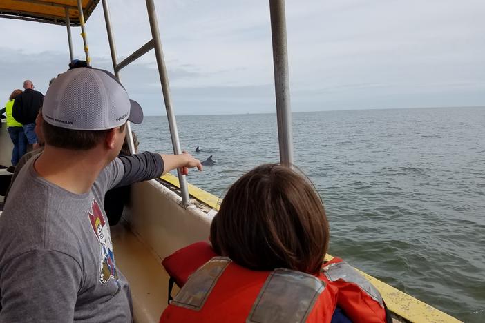 Passengers on a dolphin tour boat watch the mammals play in the water. Business owners worry seismic testing could disrupt dolphins and fish, harming their businesses.