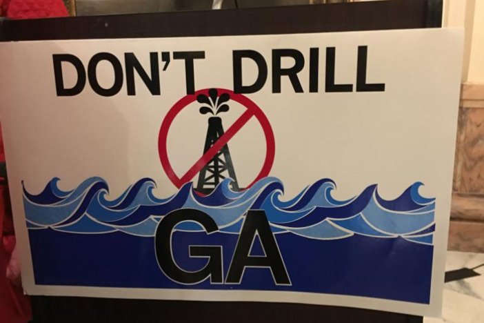 A bipartisan group of lawmakers filed legislation that says Georgia should be opposed to offshore drilling.