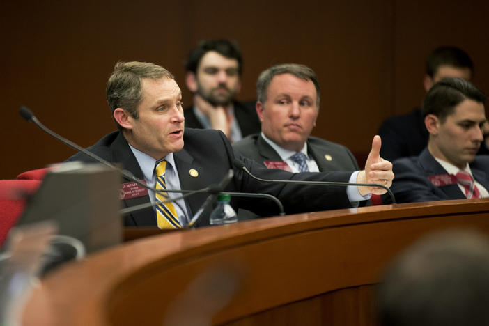 State Rep. Ed Setzler, R-Acworth, asks questions during a committe hearing at the Georgia State Capitol in Atlanta.