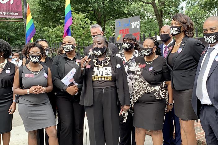 Members of the Georgia Democratic Caucus address protestors at the Capitol.