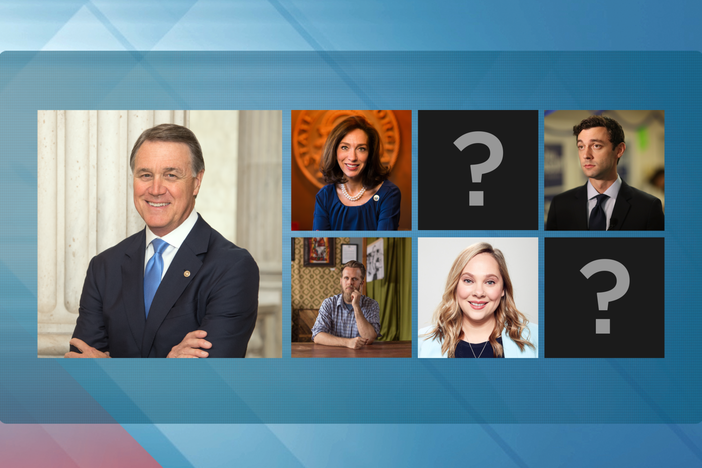 Four Democratic primary candidates have emerged in the race to challenge incumbent Republican Sen. David Perdue.