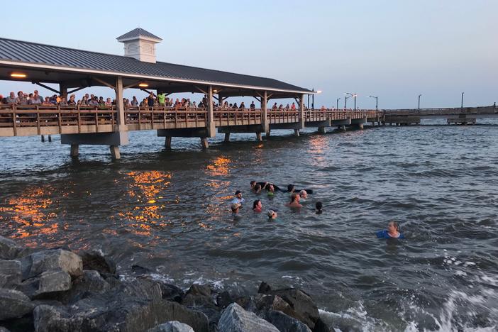 Dozens of pilot whales beached themselves on a Georgia shore and most were rescued by authorities and onlookers who pulled the animals further into the water.