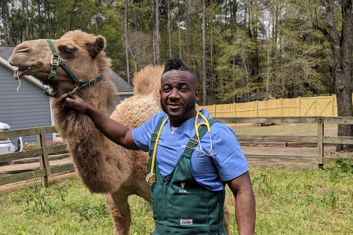 Later this year, two Georgia veterinarians will star in a reality TV show on National Geographic.