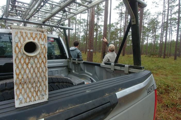 US Fish & Wildlife Federation's temporary housing for displaced red cockaded woodpeckers, staff surveying downed pines in Southwest Georgia.