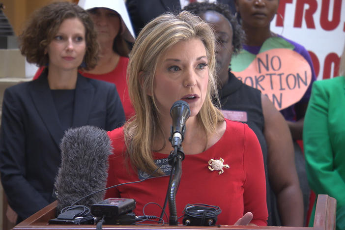 State Senator Jen Jordan (D-6) speaks at the State Capitol during a press conference speaking out against H.B. 481.