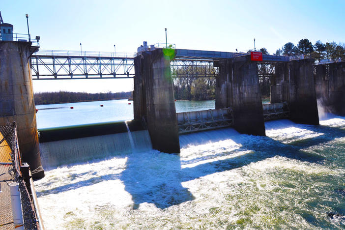 The Savannah Bluff Lock and Dam