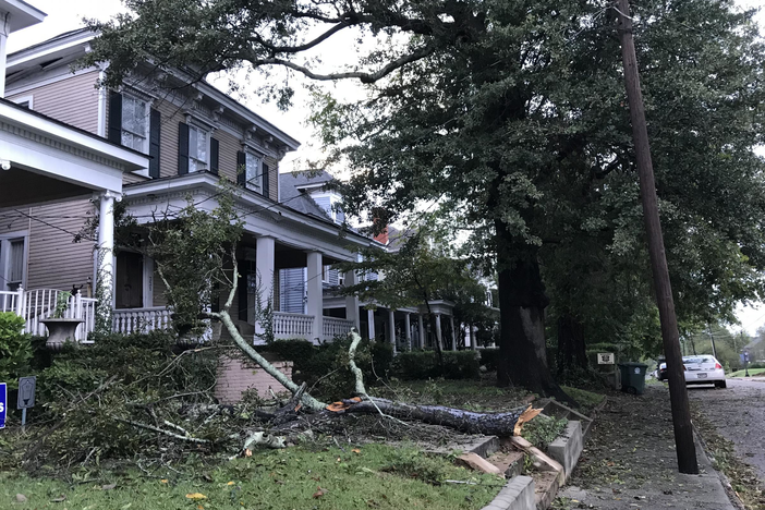 Trees damaged homes in Macon as Hurricane Michael blew through.