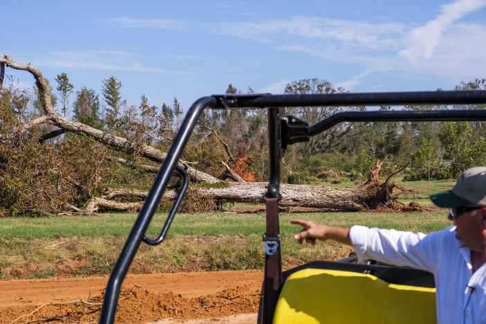 Pine Knoll Plantation farm manager Mitch Bulger near one of the thousands of pecan trees blown down by Hurricane Michael.