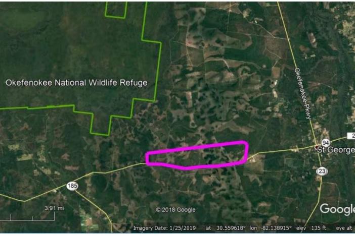 A rendering shows the proposed mining area, in pink, relative to the Okefenokee National Wildlife Refuge