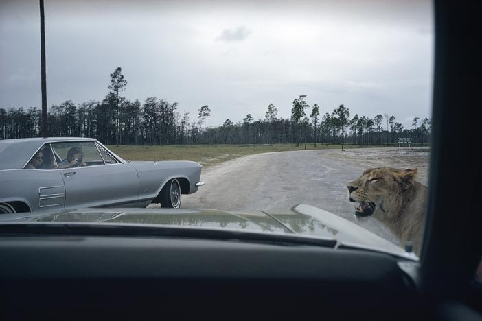 Joel Meyerowitz, Florida, 1970. Part of The Open Road exhibit, currently open at the Jepson Center. 
