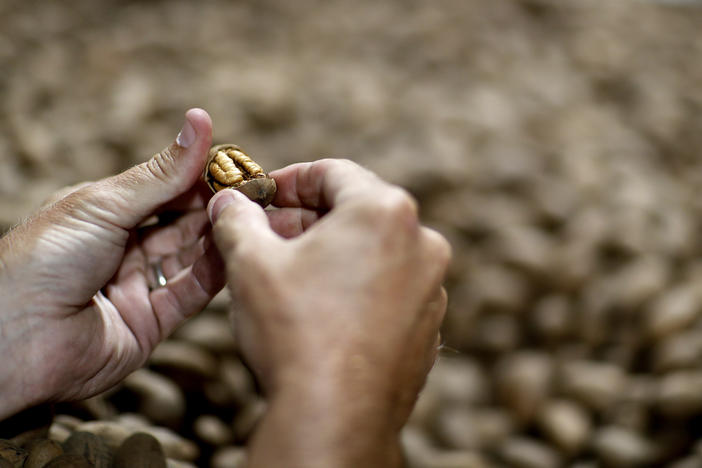 Georgia is the nation's leading producer of pecans, but the industry faced several setbacks following Hurricane Michael in 2018. 