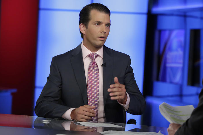 Donald Trump Jr. is interviewed by host Sean Hannity on his Fox News Channel television program, in New York Tuesday, July 11, 2017. 