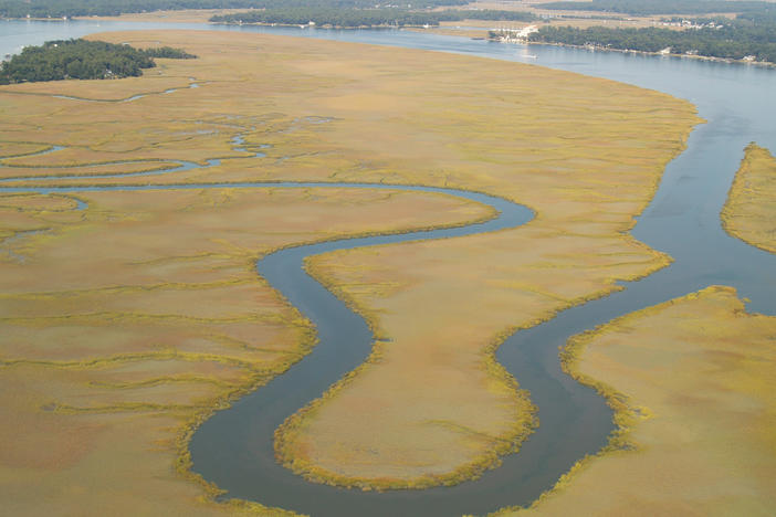 Georgia has the second-largest amount of salt marshes in the U.S. - about 368,000 acres, according to the Georgia Department of Natural Resources