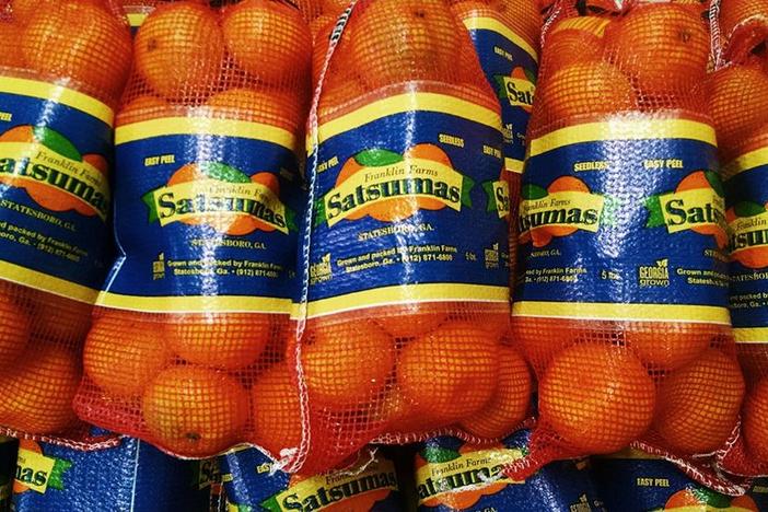 Satsuma oranges ready for sale from Franklin's Farms in Statesboro