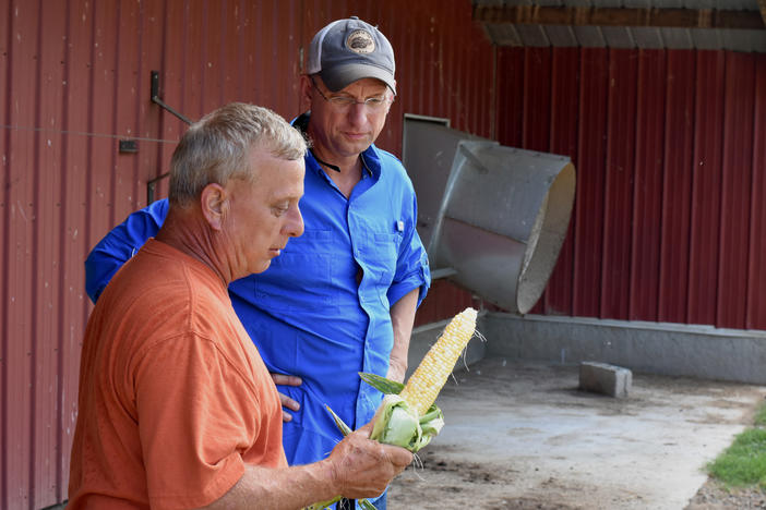 Paul Seabolt shucks an ear of corn for Republican Rep. Doug Collins (R-Gainesville) during a day of visits to local farms in Cleveland.