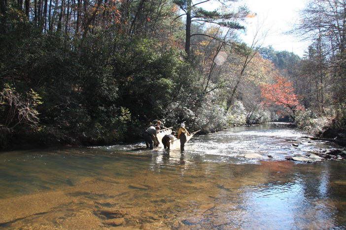 Fishers on a river shoal