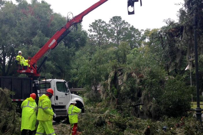 Crews work to clear downed tree.