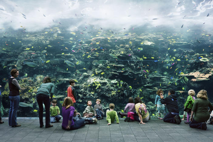 Thomas Struth, Aquarium, Atlanta, Georgia, 2013, chromogenic print, 81.7 x 140.5 inches. High Museum of Art, Atlanta.
