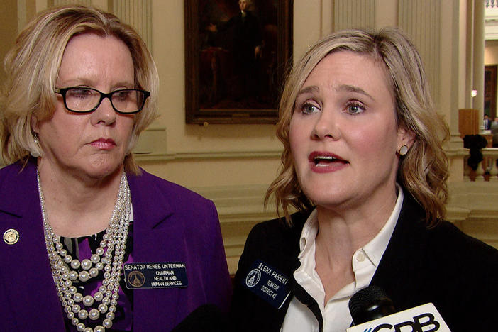 Senator Renee Unterman (R-Buford) and Senator Elena Parent (D-Atlanta) speak to reporters after a series of floor speeches in the senate decrying female representation on committees.