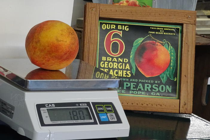 A 1.8-pound peach was grown in Peach County at Pearson Farm.