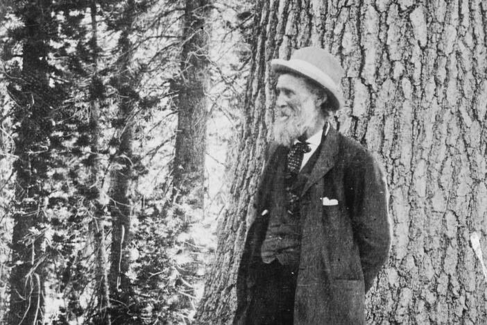 The Sierra Club said protests sparked by George Floyd's death led it to re-examine the legacy of founder John Muir and his derogatory remarks about Blacks and Indigenous people.